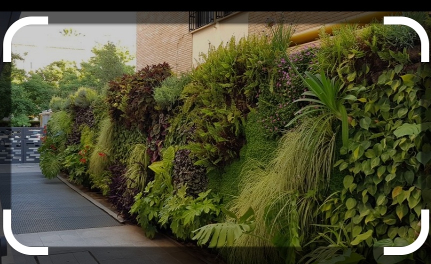 Imagen para los medios: Millorar qualitat aire i temperatura.