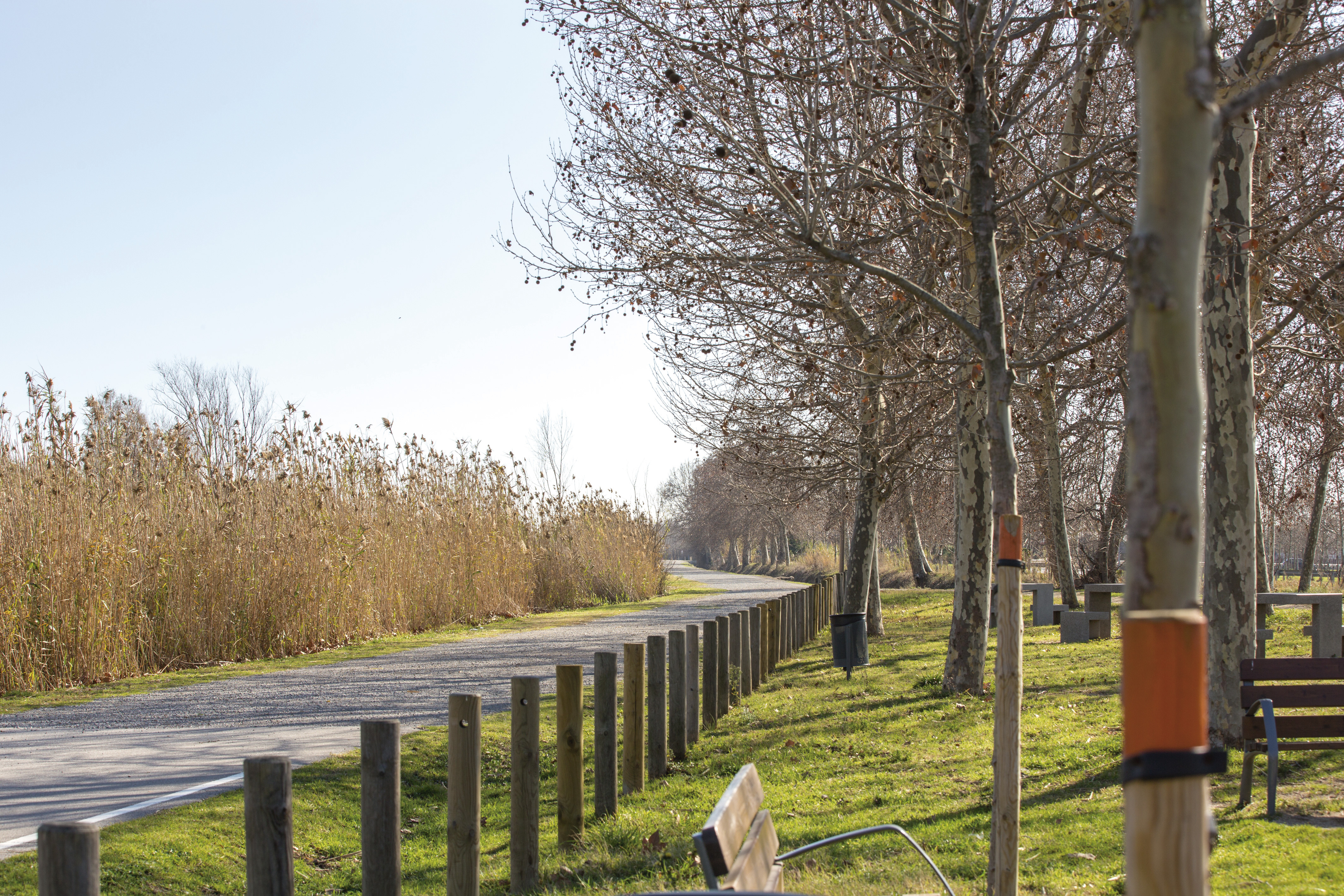 Imatge pels mitjans: 9. Instal•lar bancs al camí de la platja