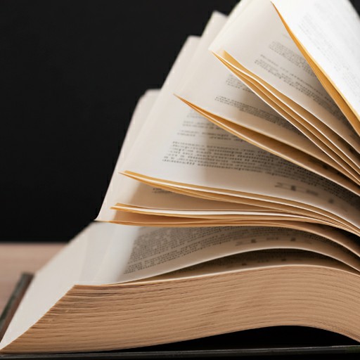 Imatge pels mitjans: Consulta pública de normativa municipal 2025