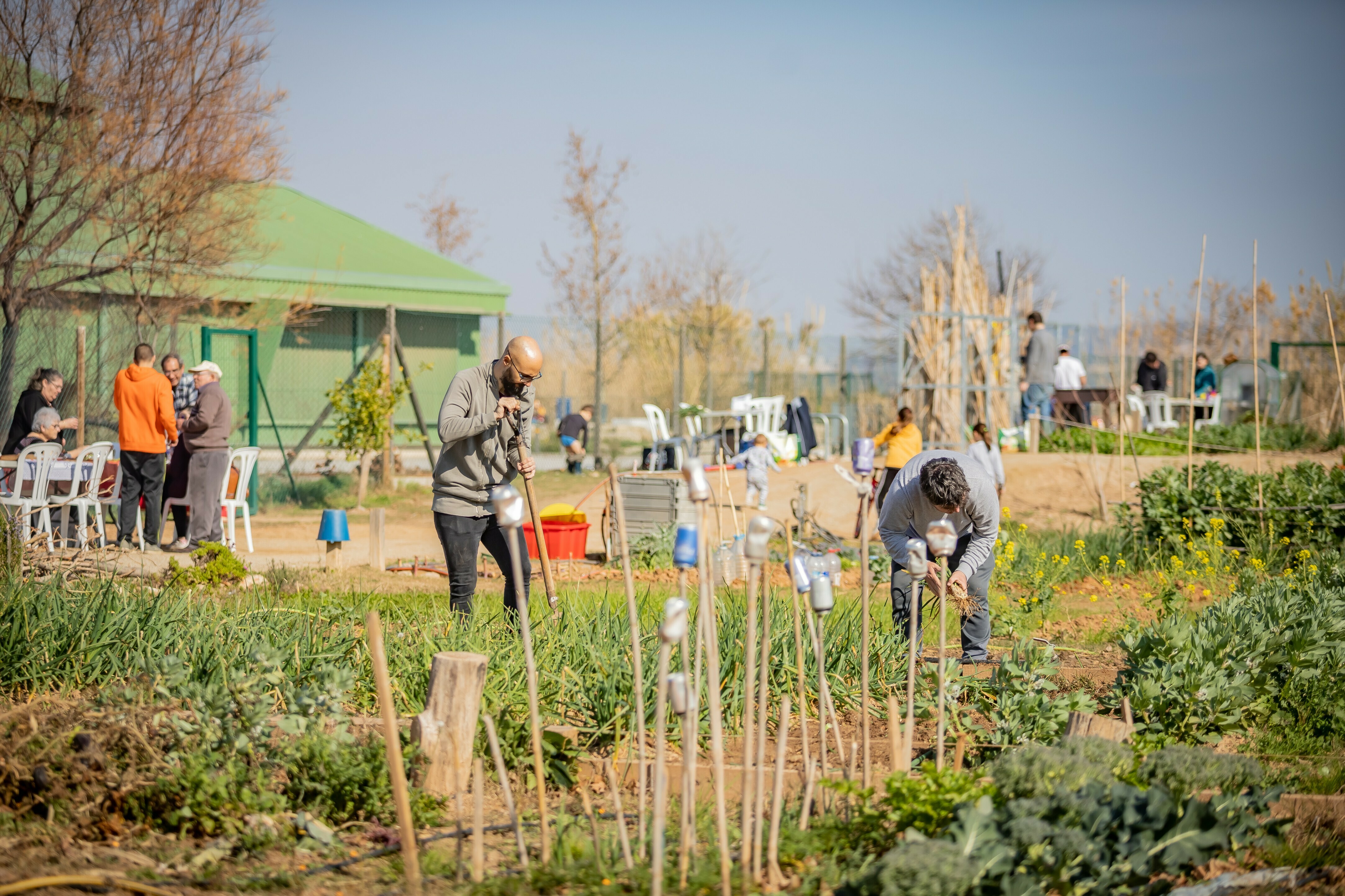 Imagen para los medios: 14.	 Hacer mejoras en el equipamiento de los huertos municipales 
